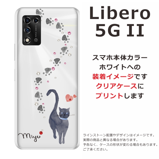 li5g2-1406-w.jpg