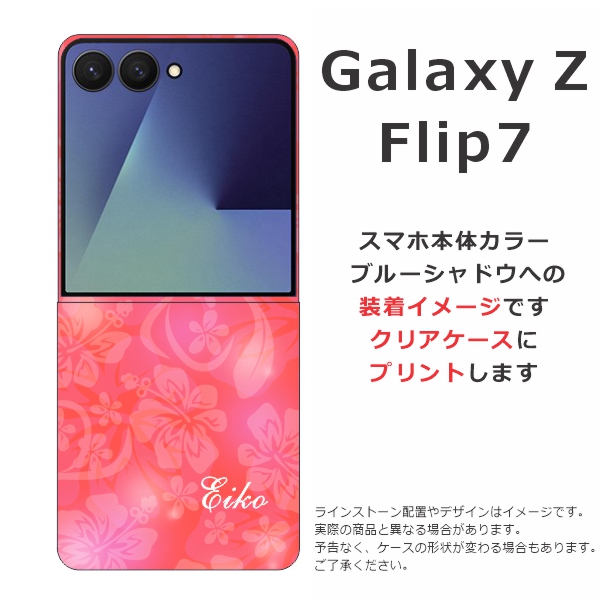 sc55f-0073.jpg