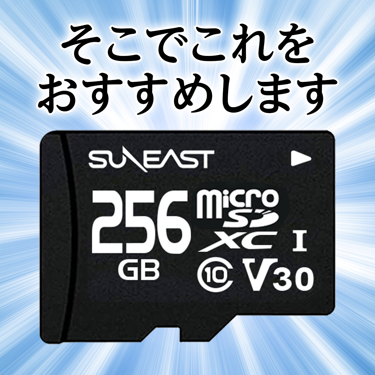 5年保証 microSDカード 256GB ニンテンドー スイッチ マイクロSDカード 