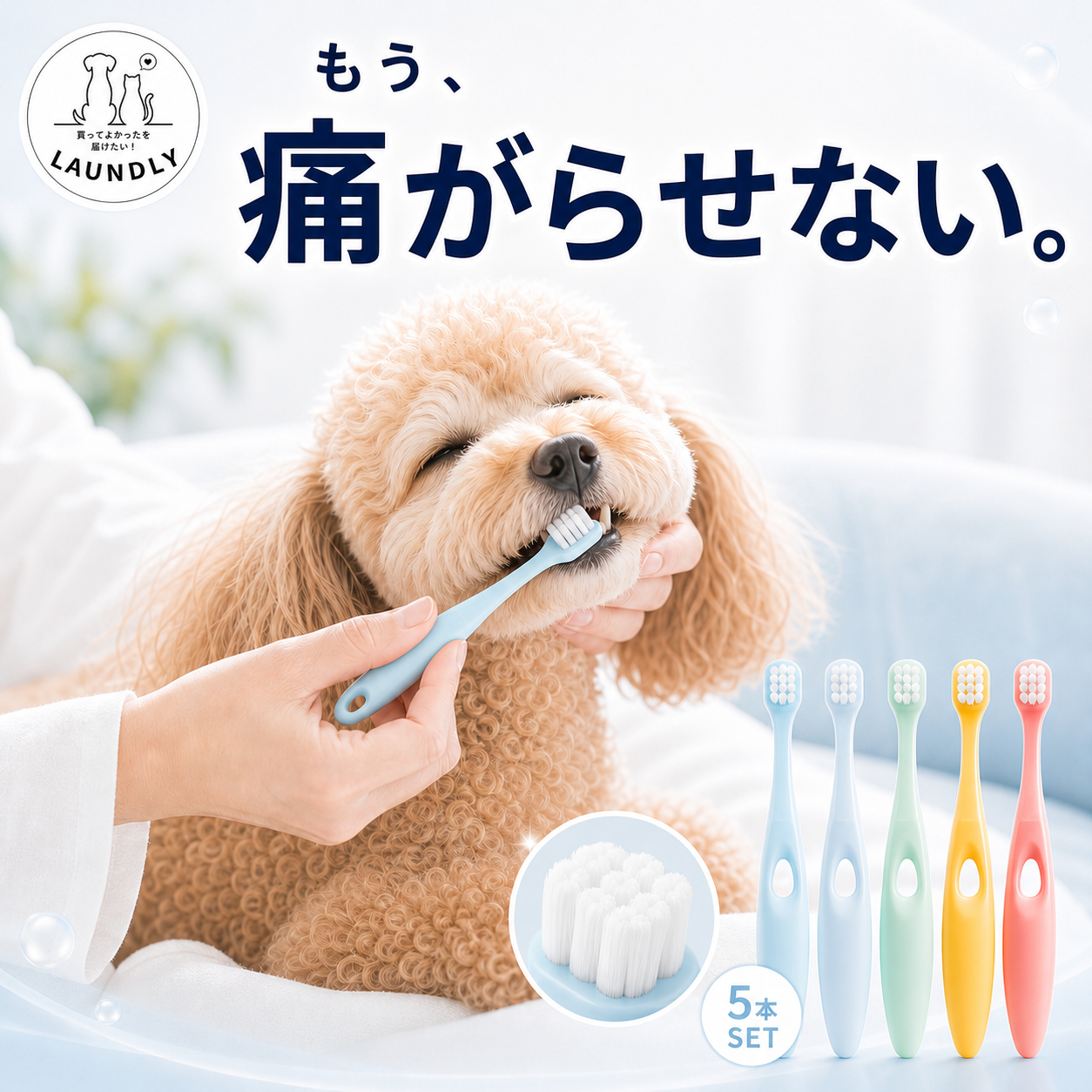 犬用品 ドクターデンタルワン 30g（2本＋歯ブラシセット）