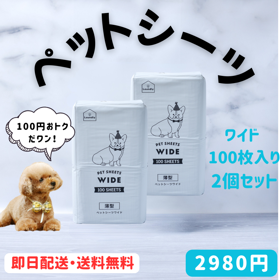 ペットシーツ 薄型 ワイド レギュラー スーパーワイド 犬 トイレシート ペットシート おシッコシート 犬シート 2個パック 爆買 | Laundly | 02