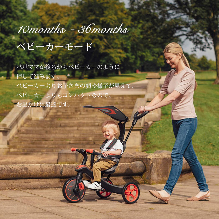dad-exptrike4_9.jpg