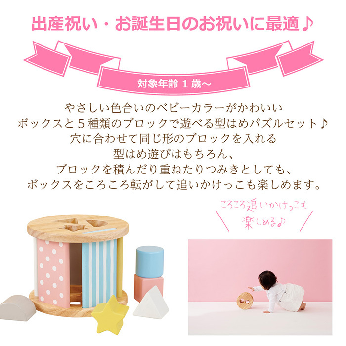エド・インター シュガーボックス 型はめパズル ミルキートイ