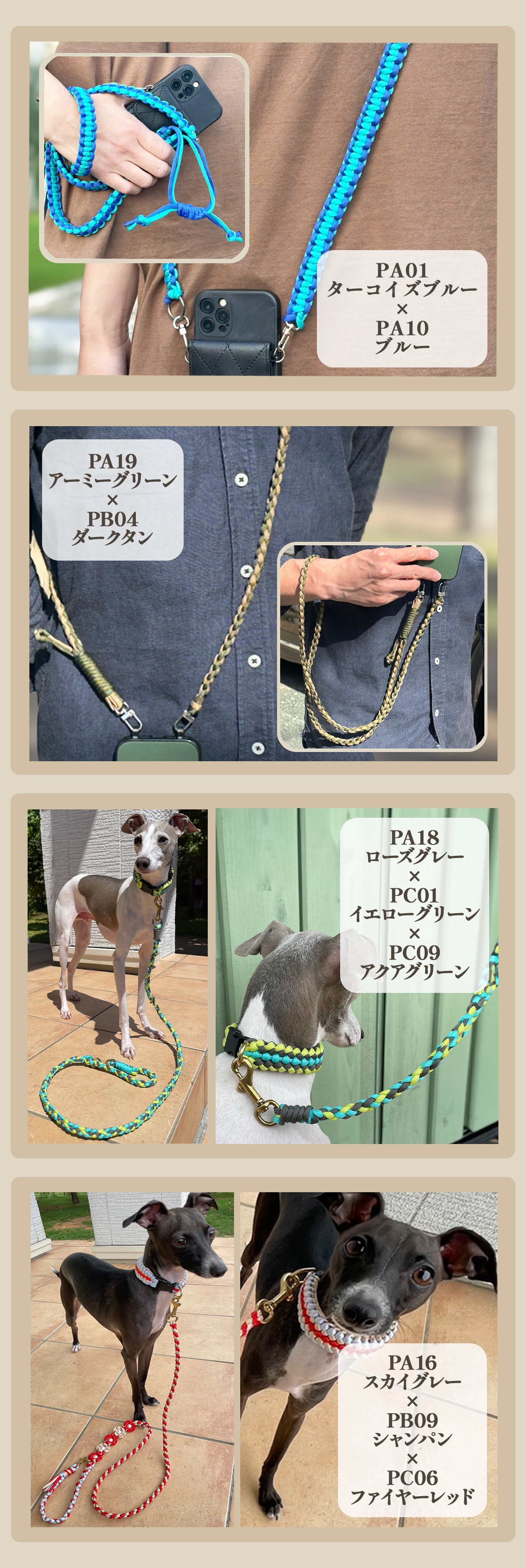 画像9サイズ