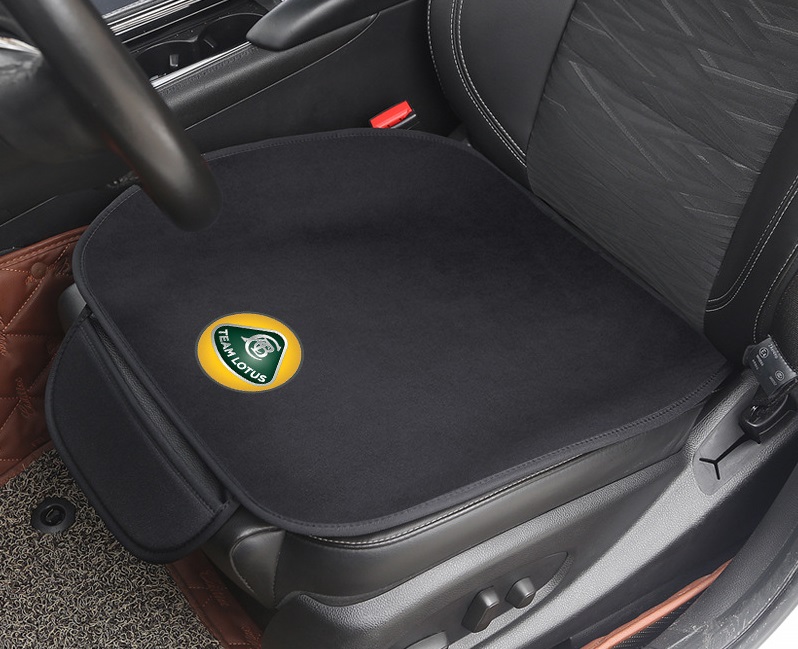 LOTUS ロータス 純正 サンルーフガラス 収納バッグ カー用品 カー