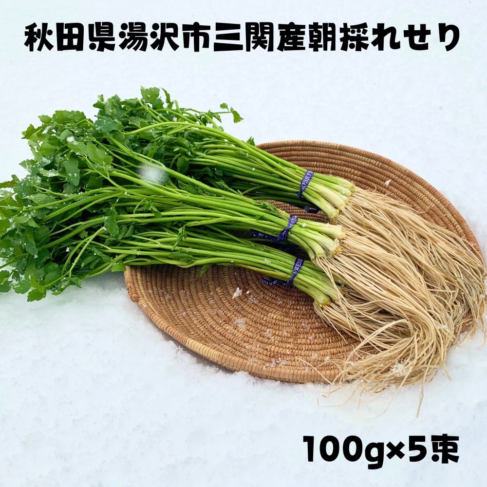 朝採れ 三関産 春 せり 500g セリ 秋田 三関 芹 根 根つき 香草 野菜 七草 芹がゆ 三 関 取り寄せ せりなべ