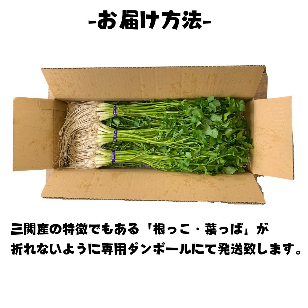 朝採れ 三関産 春 せり 500g セリ 秋田 三関 芹 根 根つき 香草 野菜