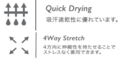 ロジャーアイコン