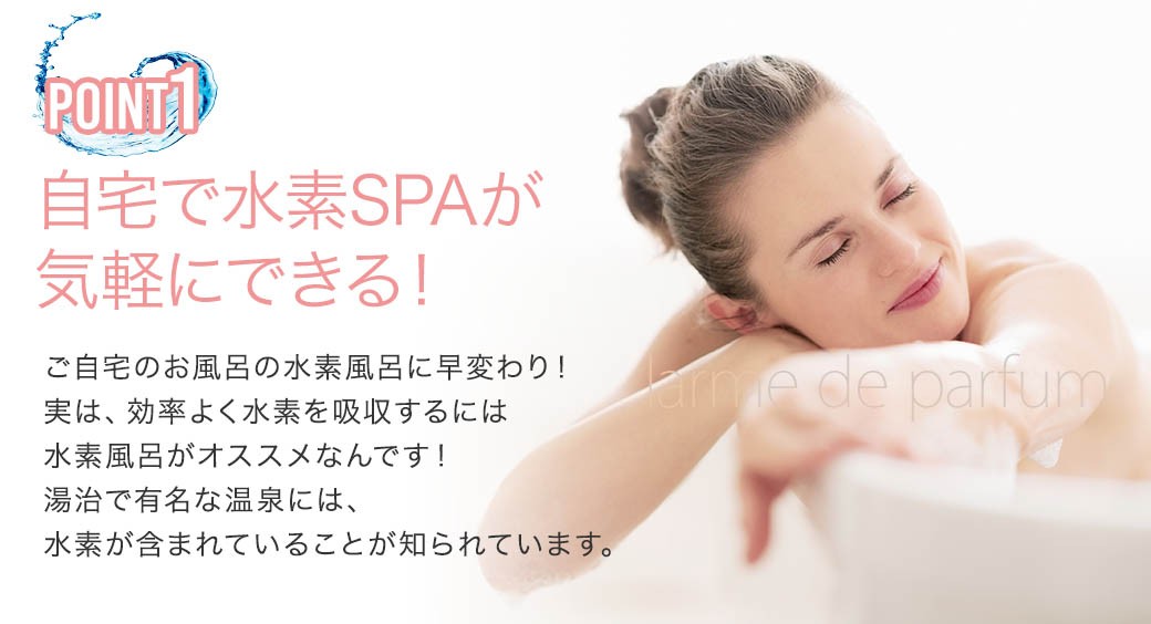 2年毎に交換推奨】マルーン(malloon) 専用バッテリー 宅急便送料無料