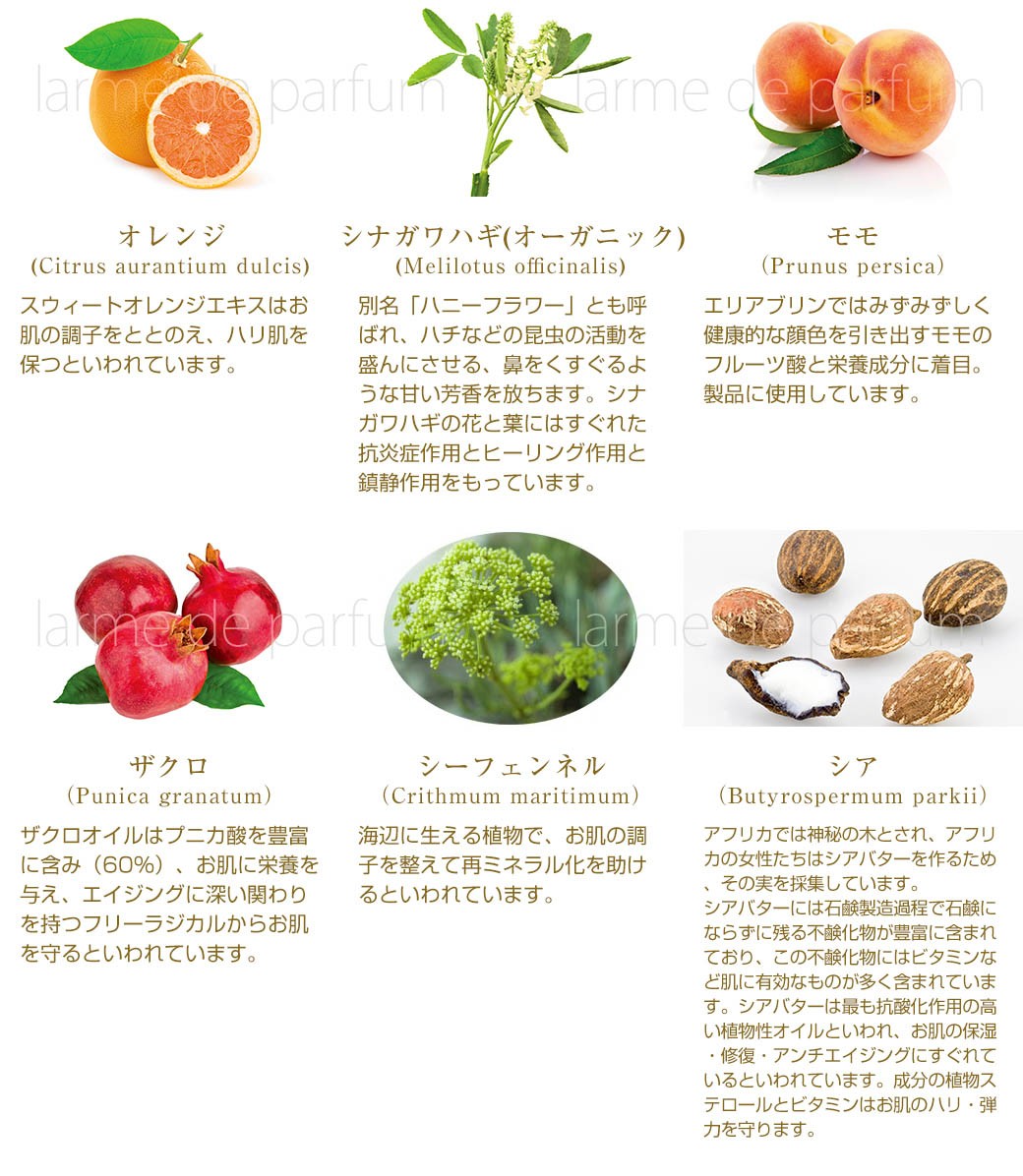 最安値 まつげ美容液 アイブロー Heliabrine エリアブリン 大容量9ml モナコ公室御用達 日本初上陸 送料無料 ギフト プレゼント Aynaelda Com