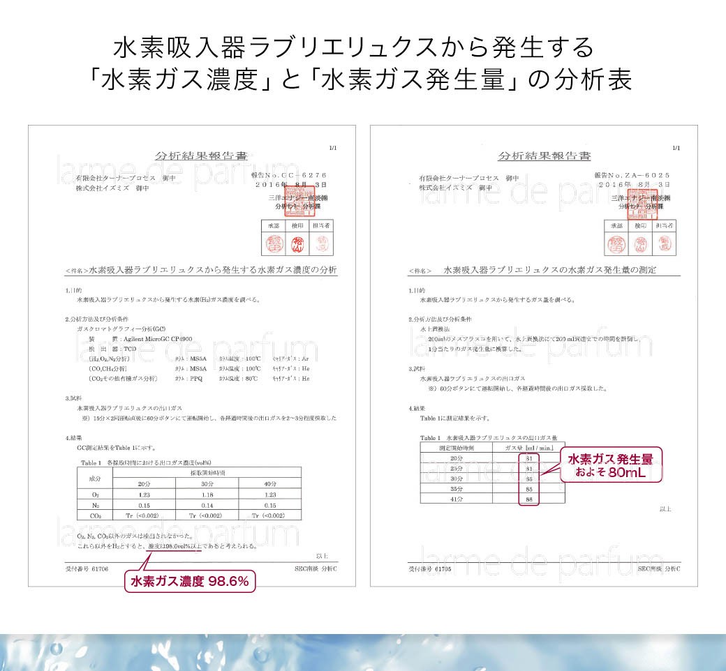 水素吸入器 ラブリエリュクス 水素吸入チューブ カニューラ 高