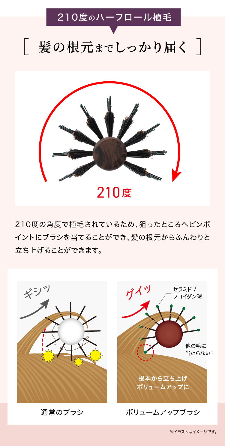 ドリーム 髪に嬉しい セラミド フコダイン配合 ヘアブラシ 熊本艶髪