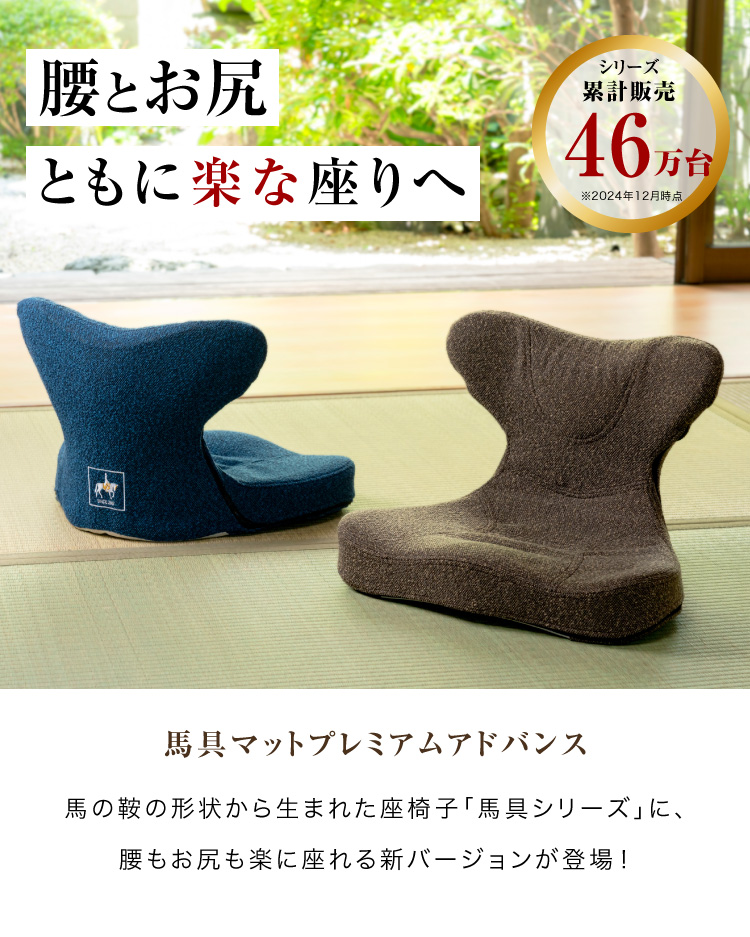ドリーム 腰痛クッション 馬具マット プレミアム アドバンス 座