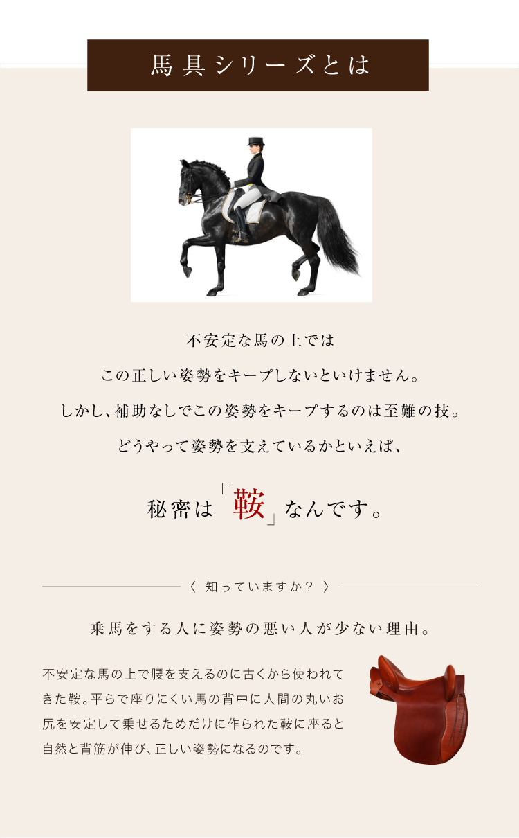 プロイデア 馬具マットプレミアムアドバンス