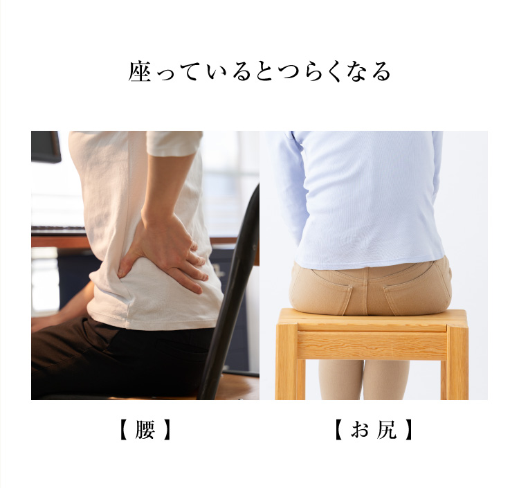 プロイデア 馬具マットプレミアムアドバンス