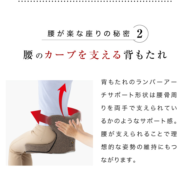 プロイデア 馬具マットプレミアムアドバンス