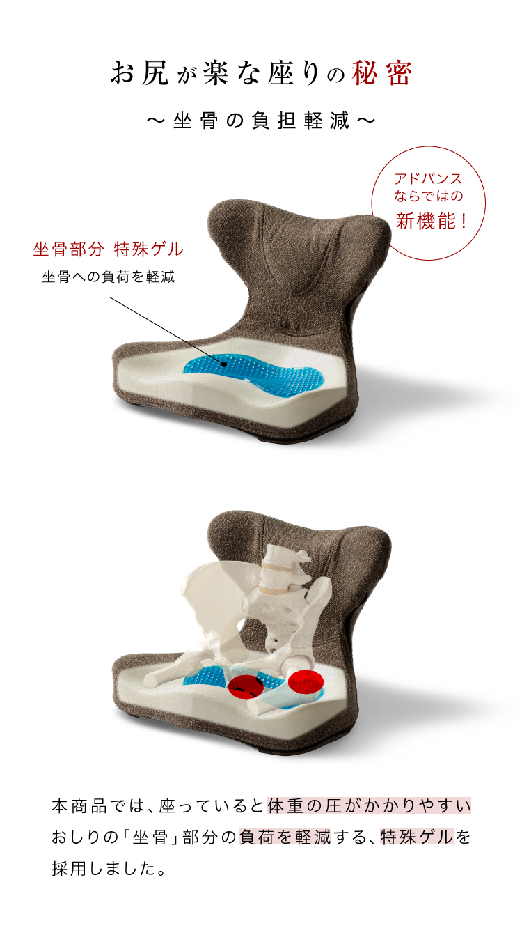 プロイデア 馬具マットプレミアムアドバンス