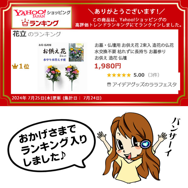 ランキング入り