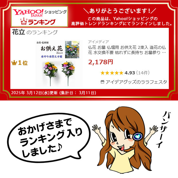 ランキング入り