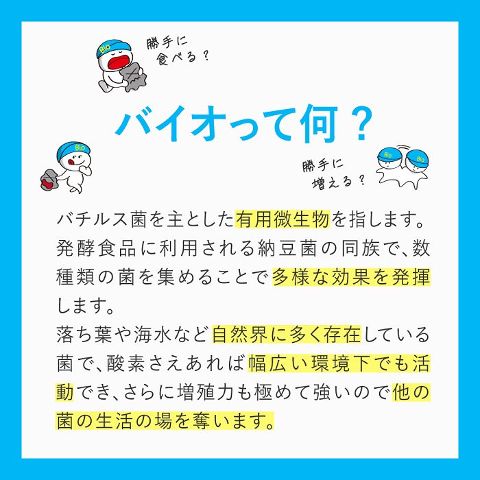 ズボラ上等 シンク用 （４０錠入）