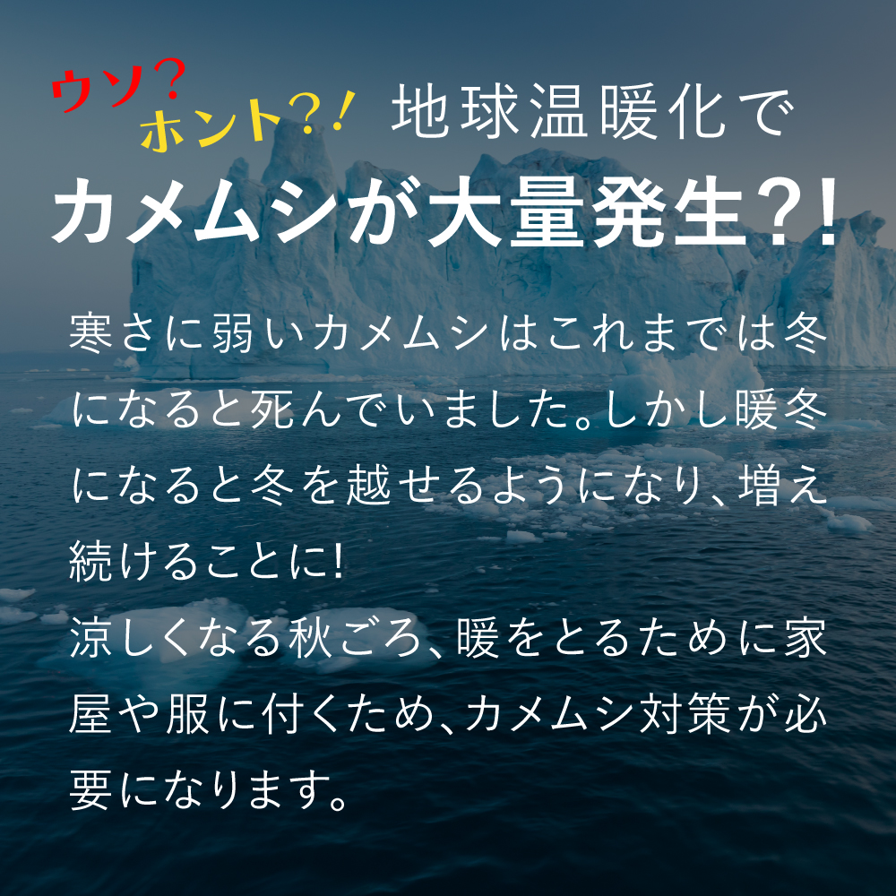 カメムシ 忌避剤 吊るすタイプ 日本製 嫌がる 匂い かめむしよけ 除け 吊り下げ 軒下 網戸 ベランダ 屋外 洗濯物 外壁 よせつけない カメムシ対策 | ブランド登録なし | 05