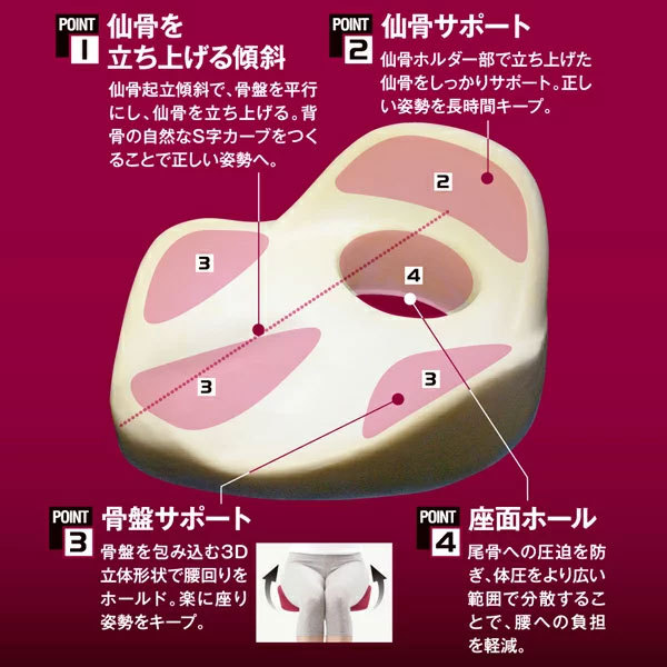 仙骨クッション 仙律 骨盤 猫背 姿勢 背筋 サポート 腰痛 クッション 座椅子 デスクワーク 腰の負担を軽減するクッション オフィスチェア 3D 高反発