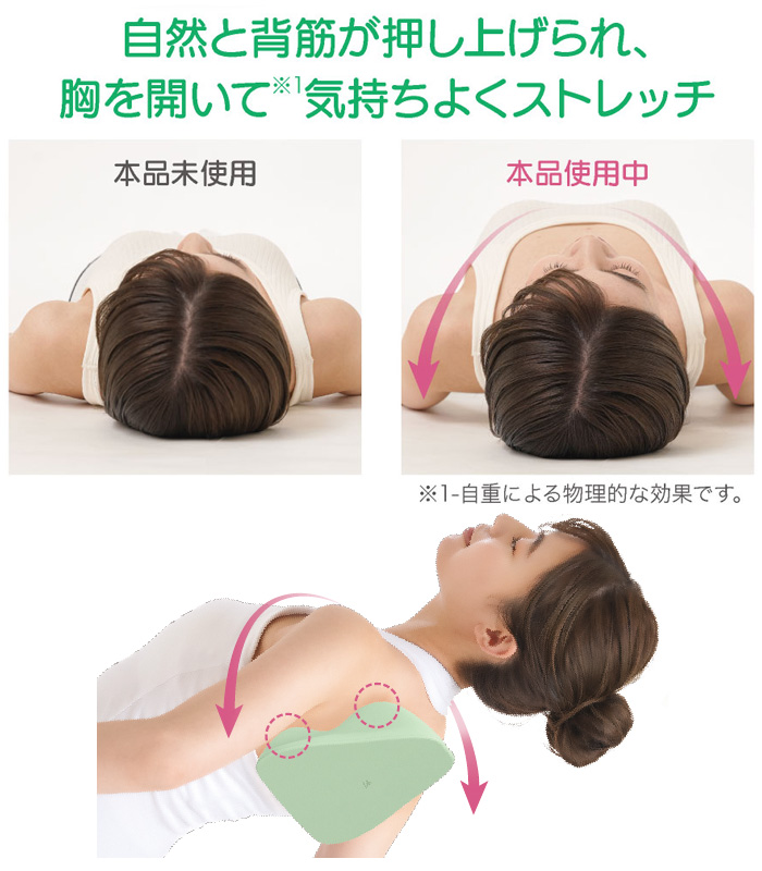 セルシュ 肩甲骨ストレッチクッション 肩甲骨 ストレッチャー 枕 まくら ストレッチ クッション 寝ながら 座りながら ほぐす マッサージ 背中 こり ストレッチグッズ 解消グッズ 