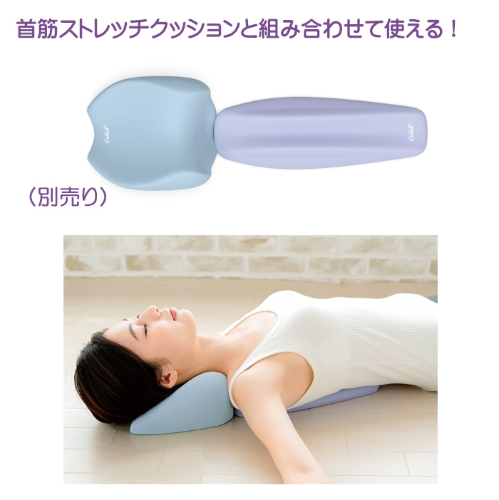 Cellsh セルシュ 背筋ストレッチクッション