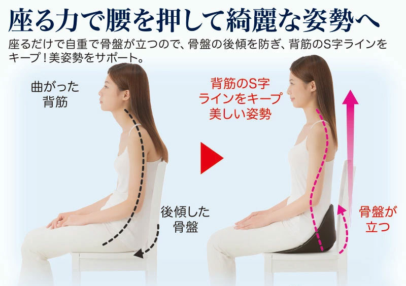 ボードクッション コシオス cosios クッション 腰 骨盤 椅子 姿勢 デスクワーク 腰痛 オフィス 座布団 骨盤を立てるクッション 腰当てクッション テレワーク