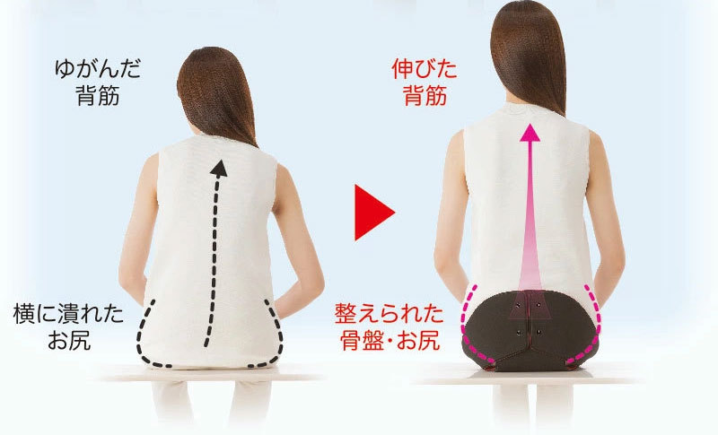 ボードクッション コシオス cosios クッション 腰 骨盤 椅子 姿勢 デスクワーク 腰痛 オフィス 座布団 骨盤を立てるクッション 腰当てクッション テレワーク