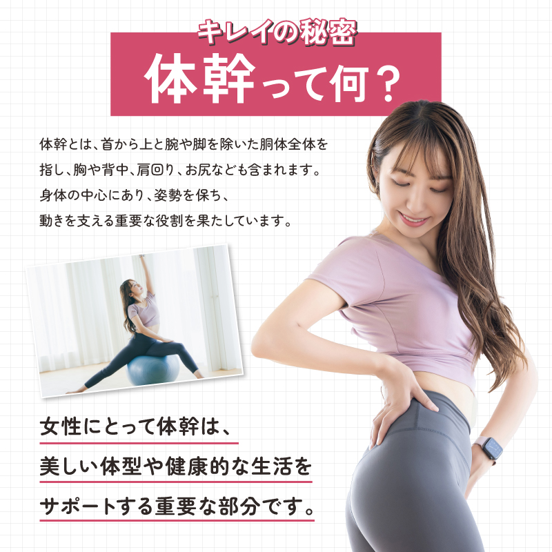 パワースリムウォーカー Mサイズ/Lサイズ 履くだけ ダイエットシューズ レディース 体幹トレーニングシューズ ダイエットサンダル ダイエットスリッパ ぽっこりお腹 猫背 姿勢矯正 軽量 お出かけ オフィス