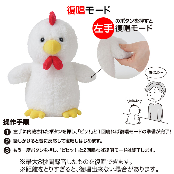 体操コッコちゃん しゃべるぬいぐるみ ラジオ体操 オウム返し まねっこ
