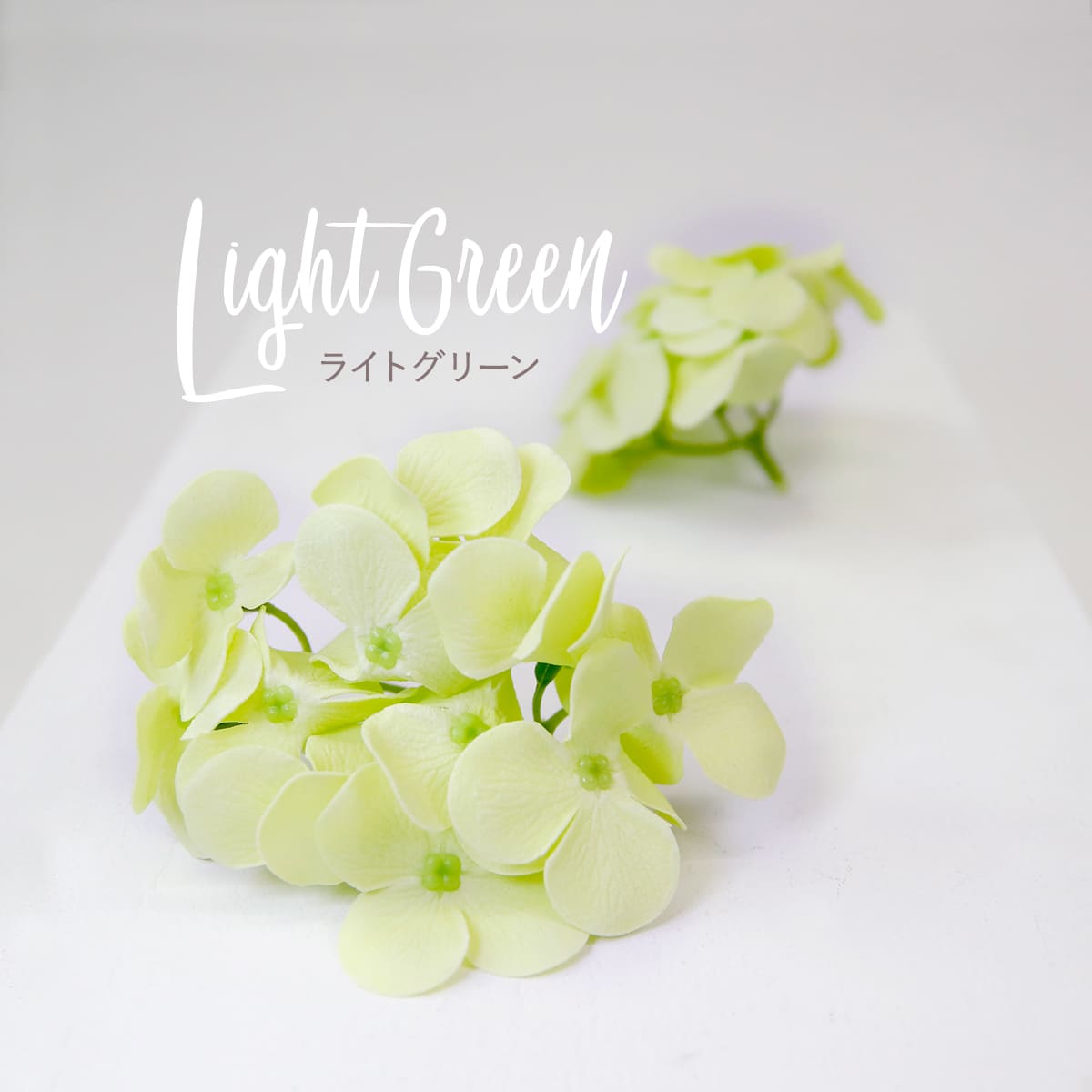 【専用商品】　アジサイ　リクエストアソート　紫陽花 アジサイ リクエストアソート 紫陽花 - メルカリ