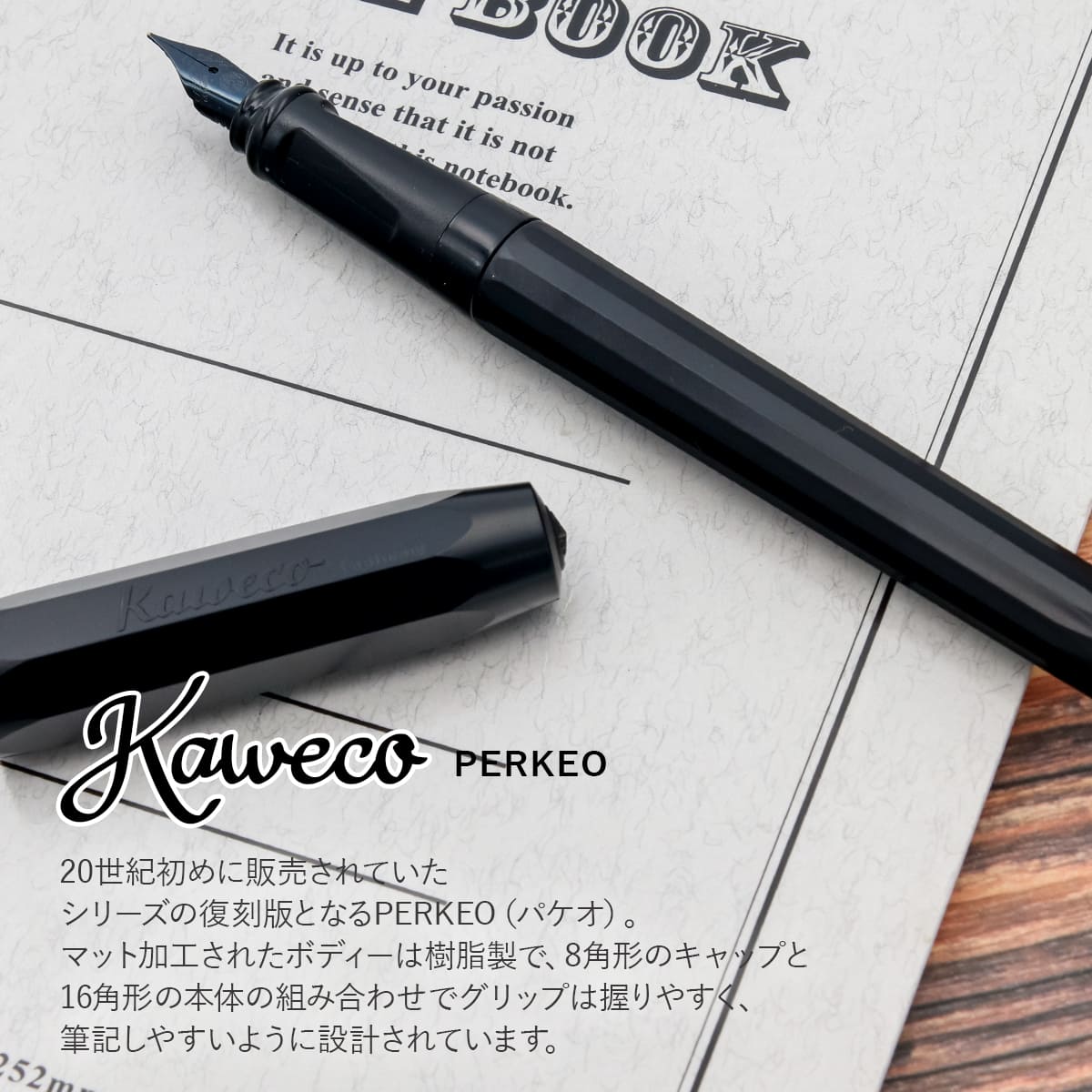 カヴェコ 万年筆 kaweco ペン パケオ ファンクションペン PERKEO