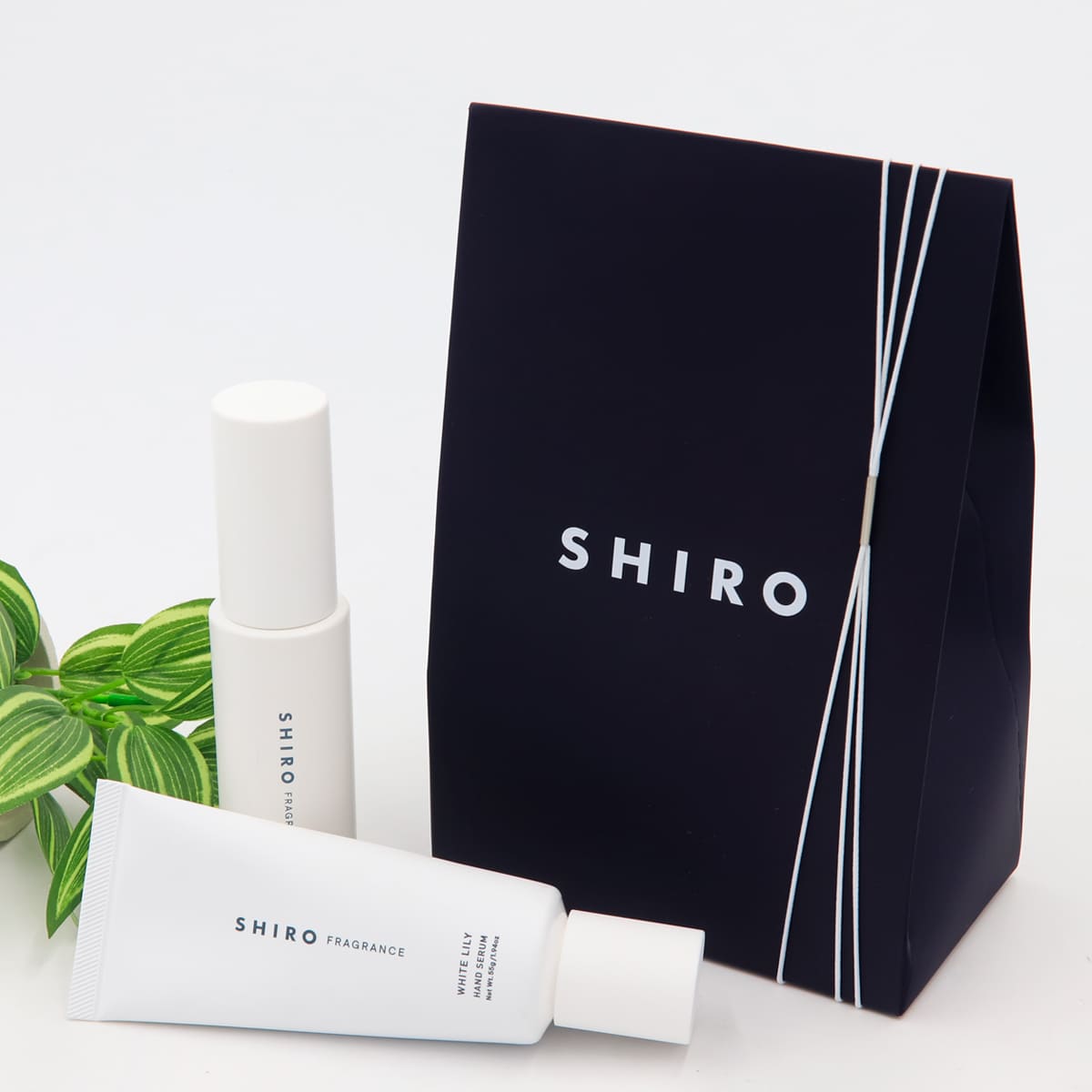 shiro ホワイトリリー 香水 & ハンド美容液 正規品 セット オード 