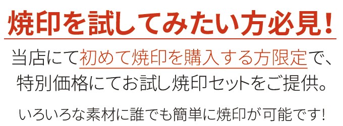 お試し 焼印セット 20mm×20ｍｍ以内 電気式焼印 半田ゴテ用 直火式焼印 初回購入限定 DIY レザークラフト オーダー焼印 スタンプ  :LTS1806S07001:焼印本舗 - 通販 - Yahoo!ショッピング