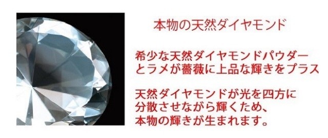 クリスマス　プレゼント　花　ディズニー　ミッキー　ミッキーマウス　フラワーギフト