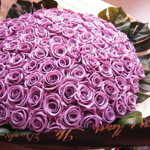 プロポーズ 花紫バラ 花束 100本