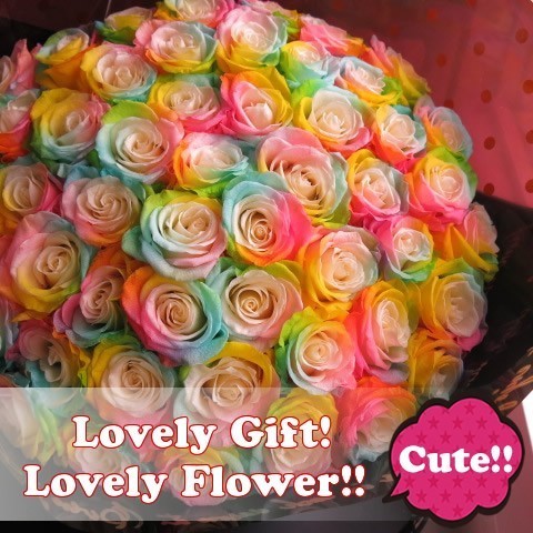 レインボーローズ プリザーブドフラワー