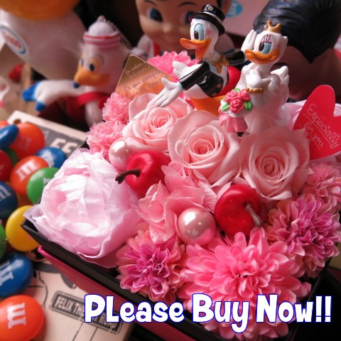 ディズニー チップ＆デール フラワーギフト 花