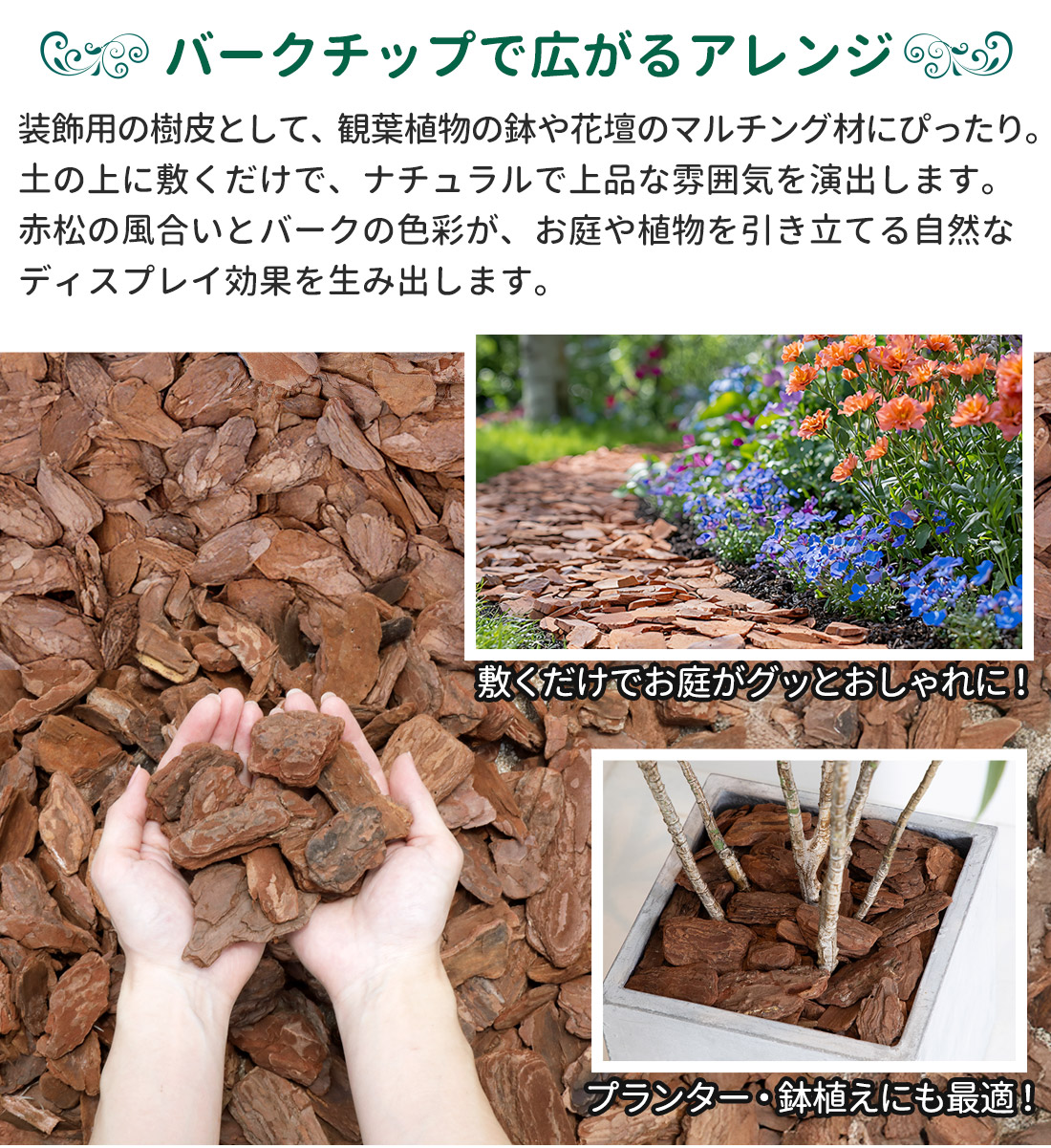 予約）バークチップ 50L 赤松 大容量 防草 保湿 デコレーションバーク