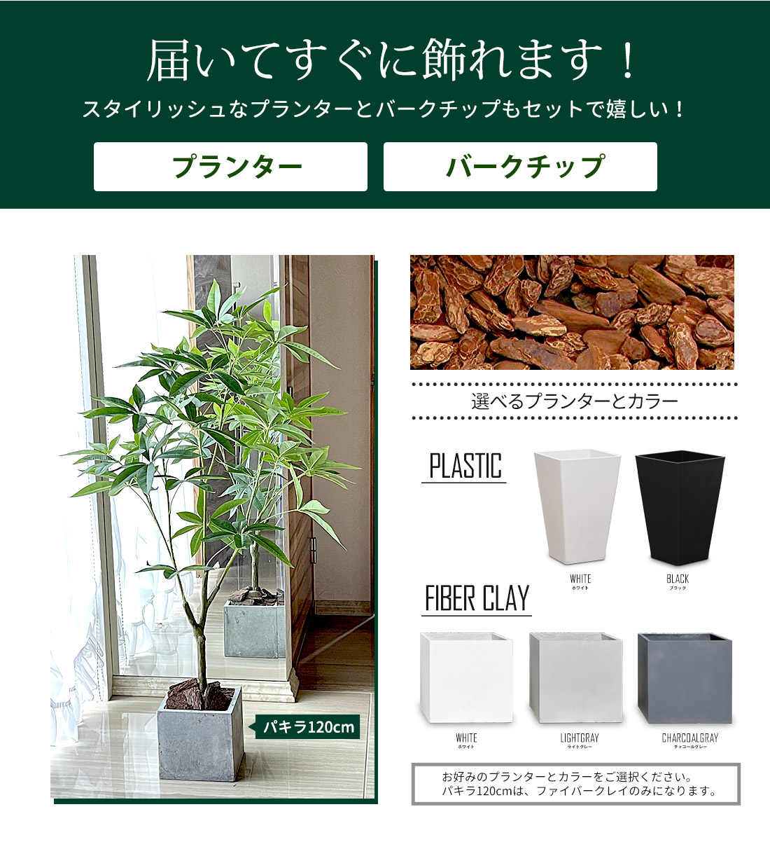 リーベン フェイクグリーン 大型 ねじり パキラ 70cm 観葉植物