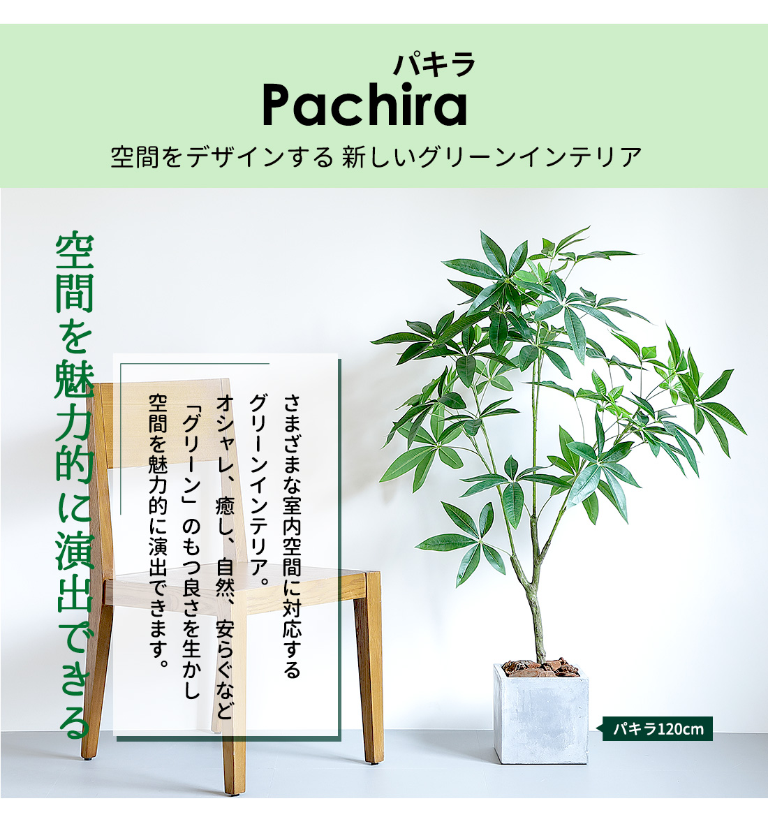 フェイクグリーン 大型 パキラ 90cm 観葉...の詳細画像5
