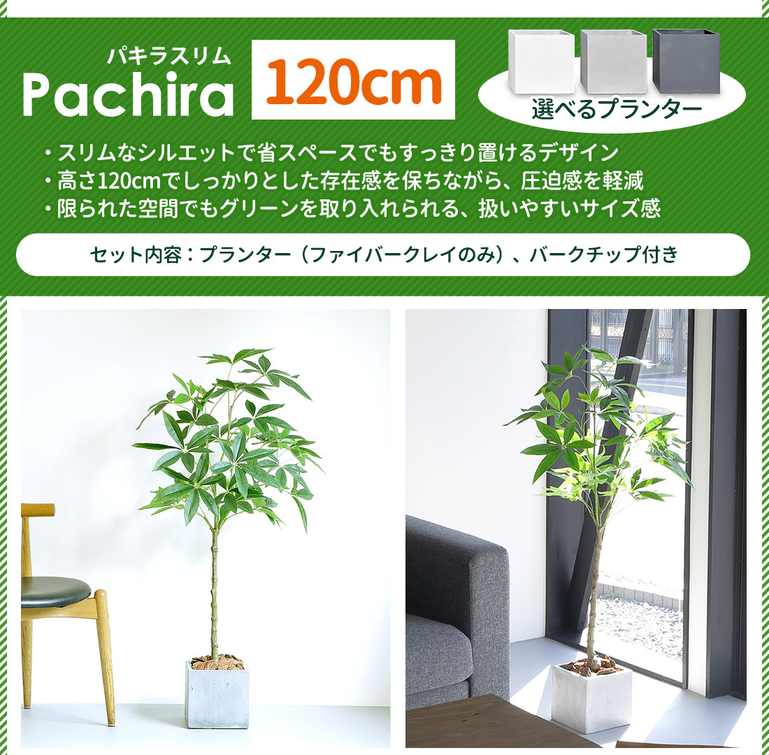 リーベン フェイクグリーン 大型 パキラ 150cm 観葉植物 ファイバー