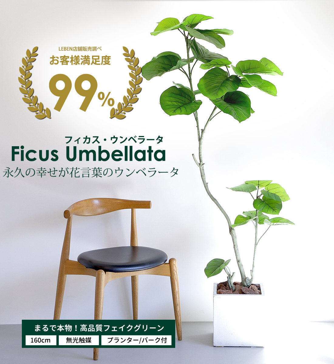 (予約販売)フェイクグリーン フィカス ウンベラータ 160cm 無光触媒加工済 フェイク リアル 光触媒 CT触媒　ファイバークレイ製 プランター