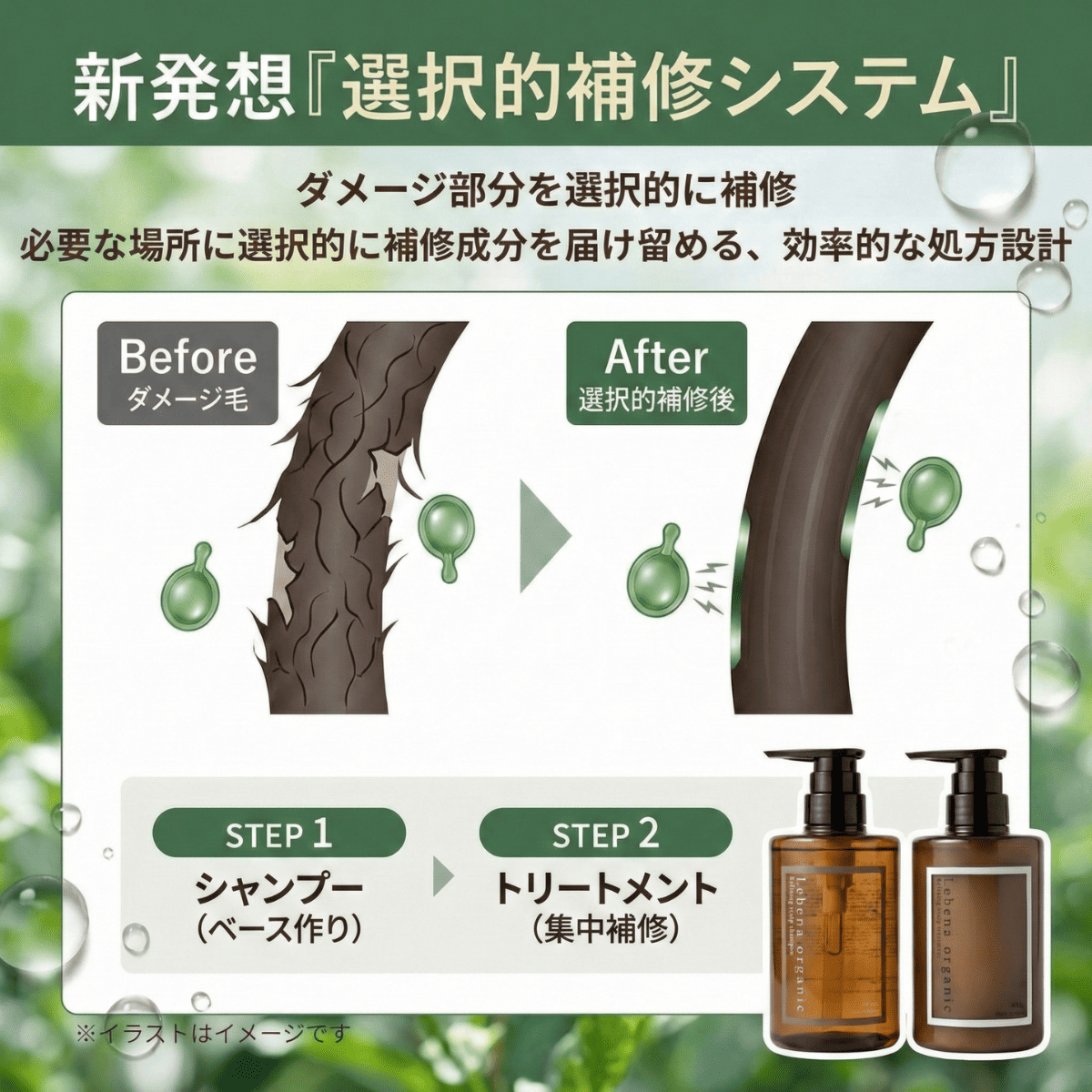 Lebena organic（レベナオーガニック） スカルプシャンプー