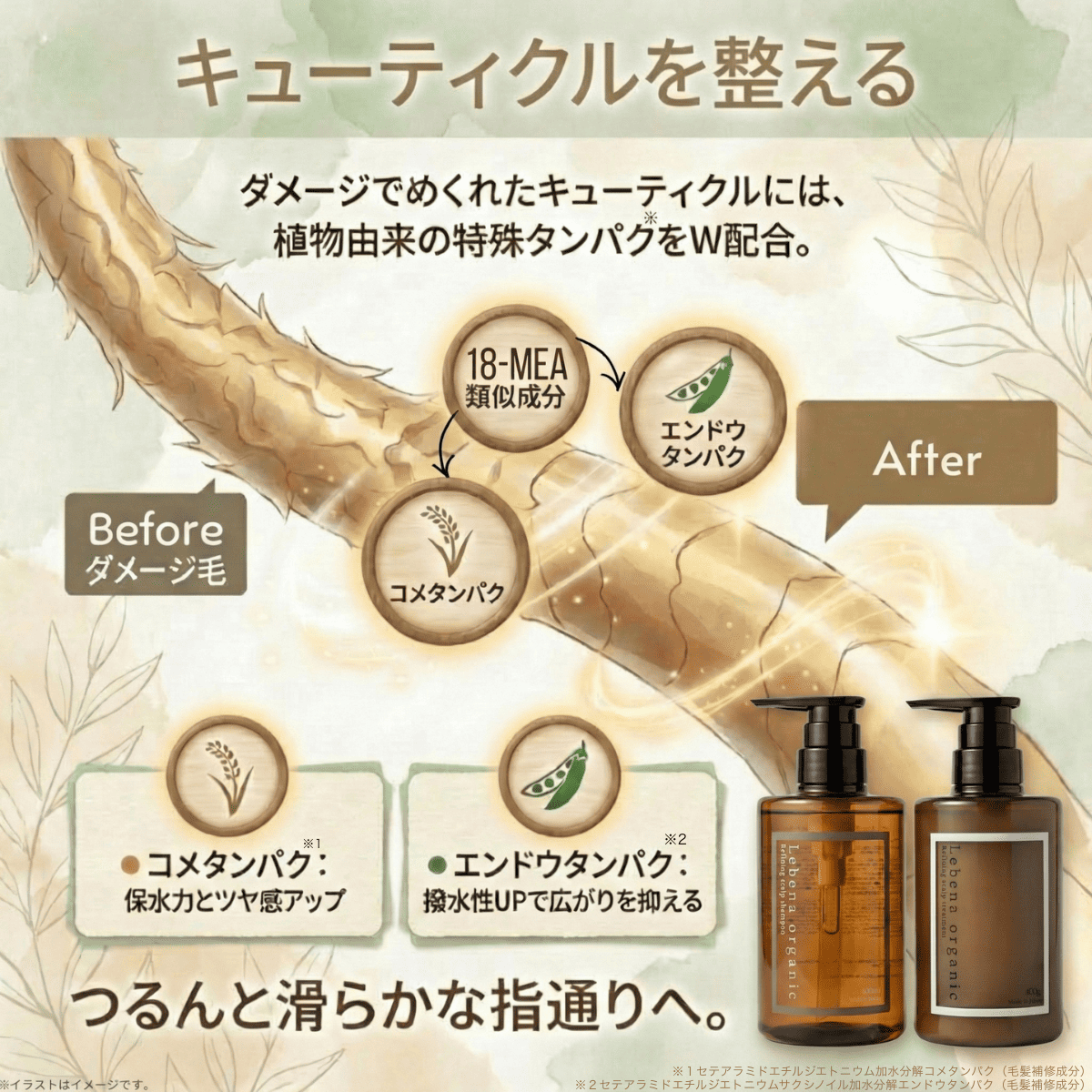 Lebena organic（レベナオーガニック） スカルプシャンプー