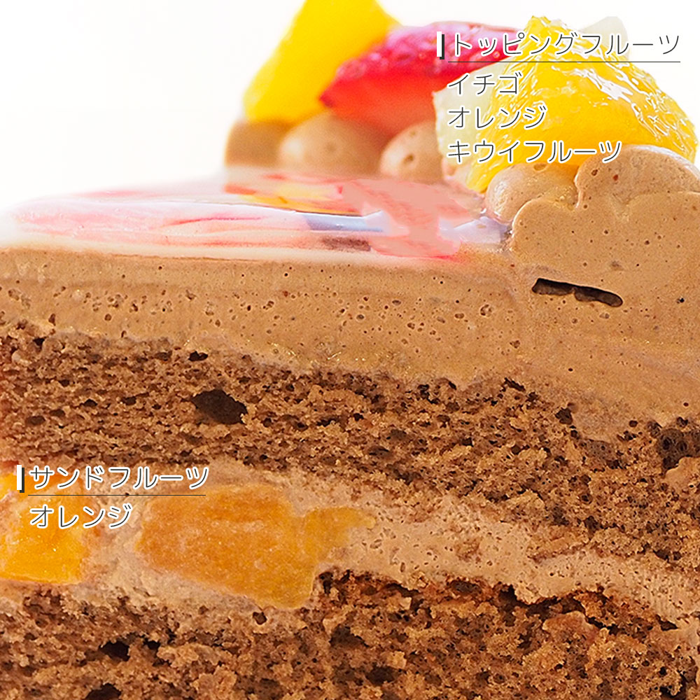 インスタグラム風写真ケーキ S フルーツ生チョコクリーム 22×14cm フォトケーキ｜lecadeaukotobuki｜06