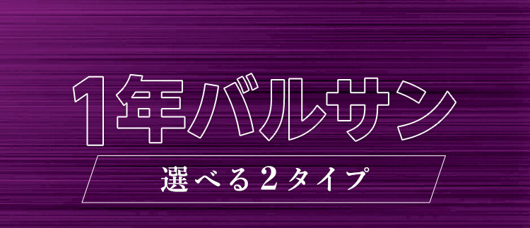 1年バルサン くん煙剤 燻煙剤 ワンプッシュ スプレー