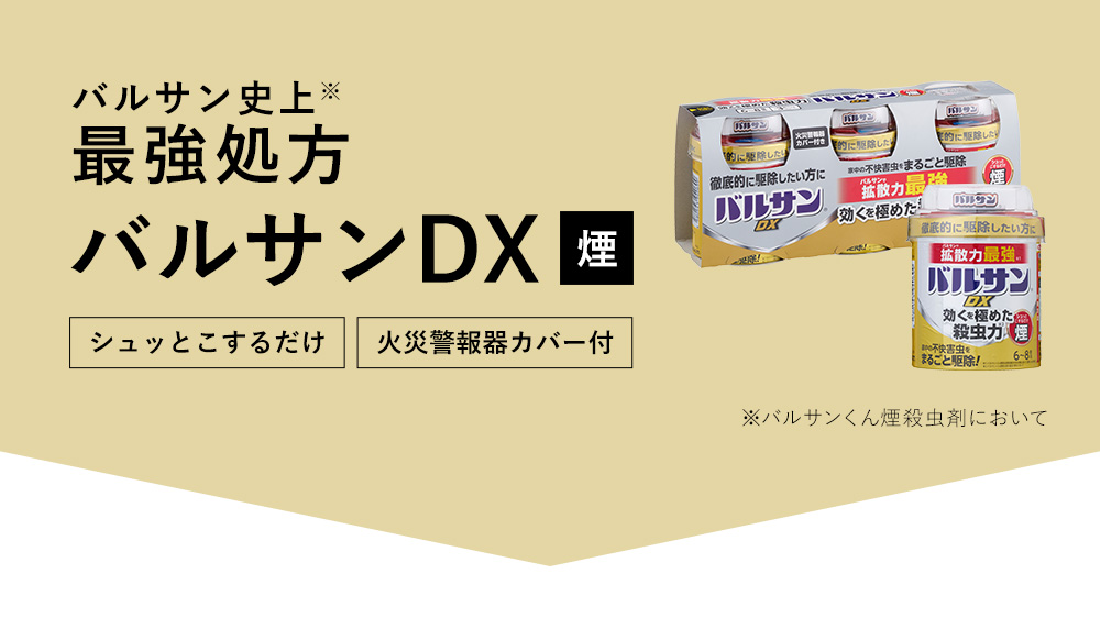 バルサンDX 燻煙剤
